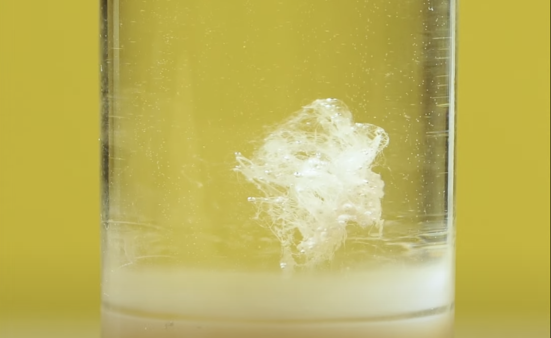 Extraction d'ADN